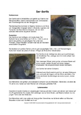 Gorilla-Steckbrief-Seite-1-2.pdf